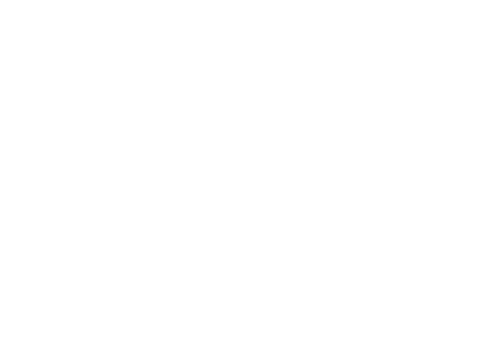 Summitlogowhite